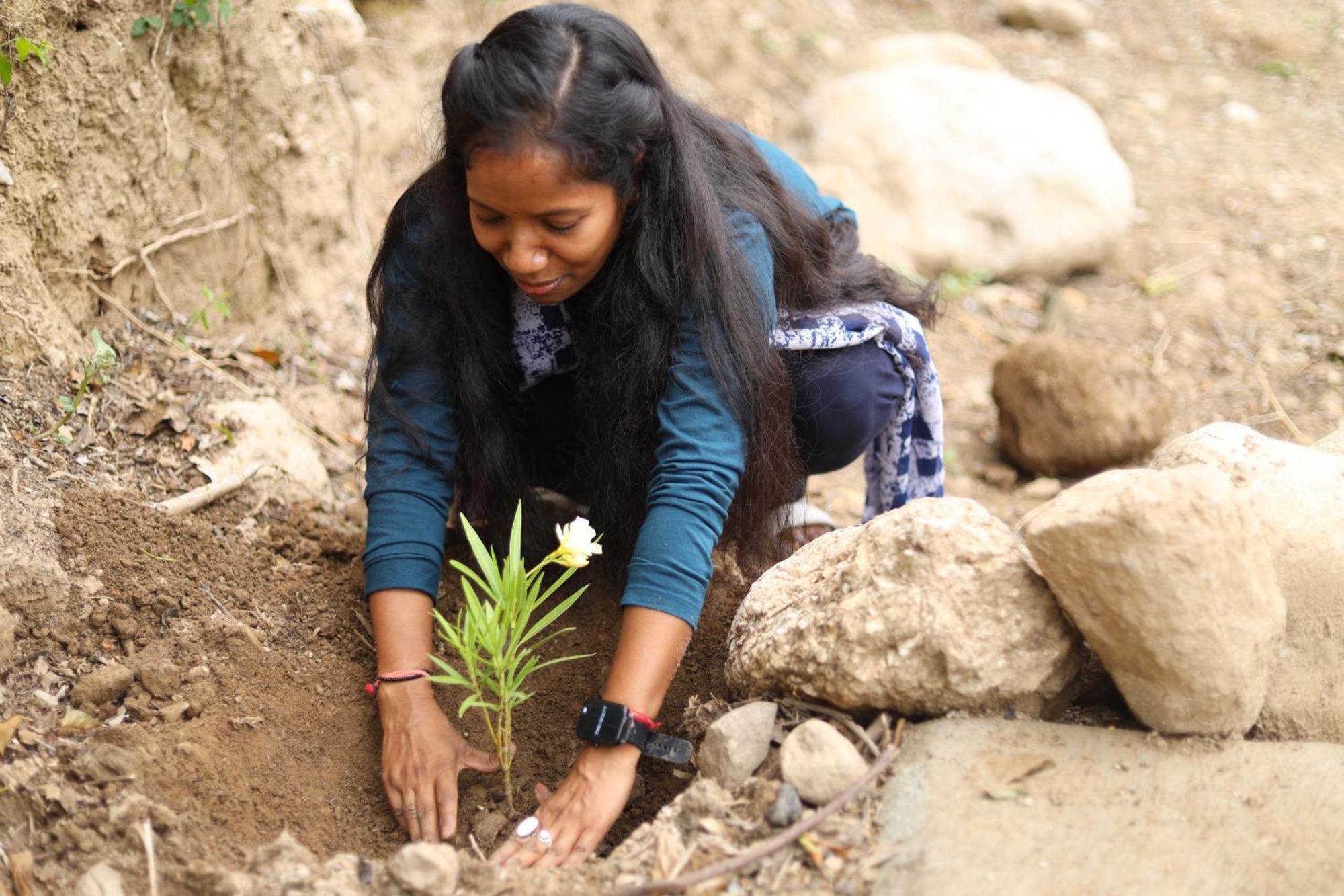 Dev Bhoomi Farms & Cottages Dharamshala Luaran gambar